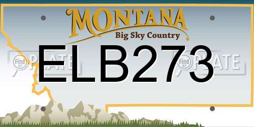 ELB273 Montana License Plate
