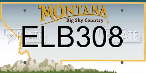 ELB308 Montana License Plate