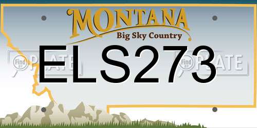 ELS273 Montana License Plate