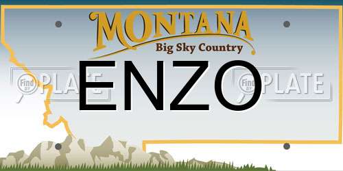 ENZO Montana License Plate