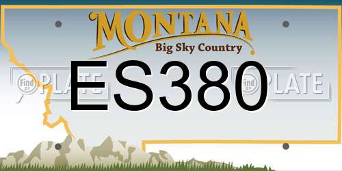 ES380 Montana License Plate