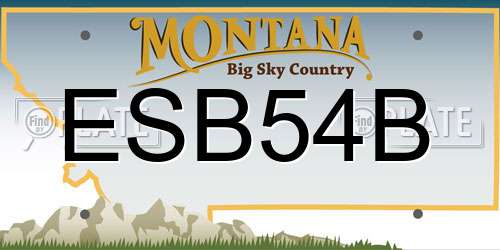 ESB54B Montana License Plate