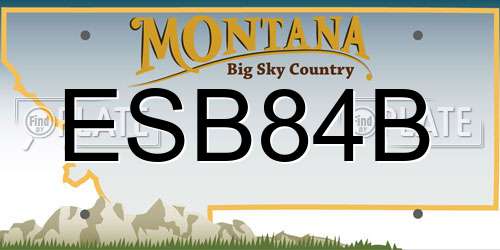 ESB84B Montana License Plate