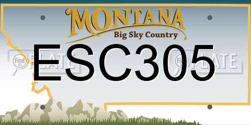 ESC305 Montana License Plate