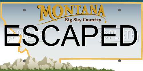 ESCAPED Montana License Plate
