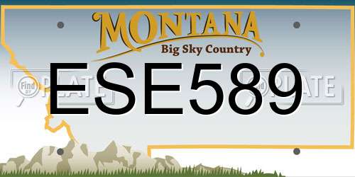 ESE589 Montana License Plate