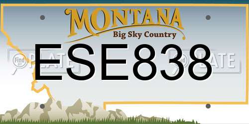 ESE838 Montana License Plate