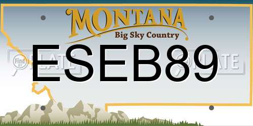 ESEB89 Montana License Plate