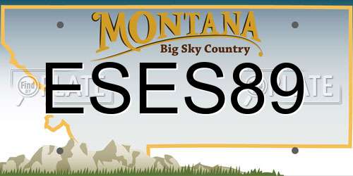 ESES89 Montana License Plate