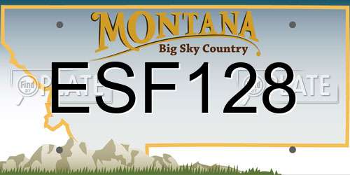 ESF128 Montana License Plate