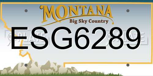 ESG6289 Montana License Plate