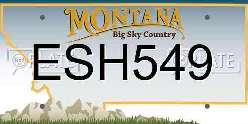 ESH549 Montana License Plate