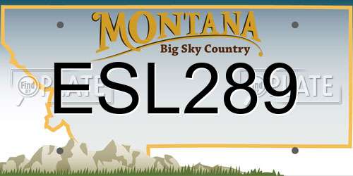 ESL289 Montana License Plate