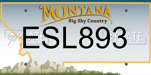 ESL893 Montana License Plate