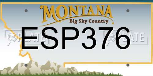 ESP376 Montana License Plate