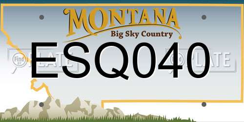 ESQ040 Montana License Plate
