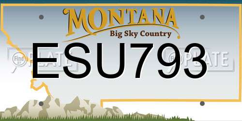 ESU793 Montana License Plate