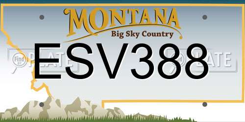 ESV388 Montana License Plate