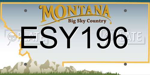 ESY196 Montana License Plate