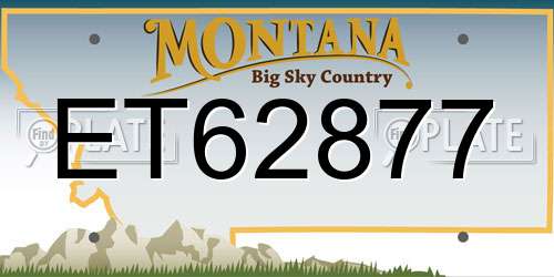 ET62877 Montana License Plate