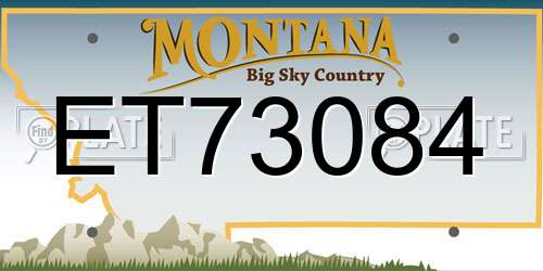ET73084 Montana License Plate