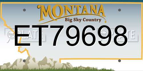 ET79698 Montana License Plate