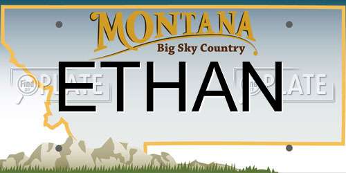 ETHAN Montana License Plate