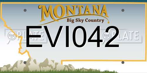 EVI042 Montana License Plate