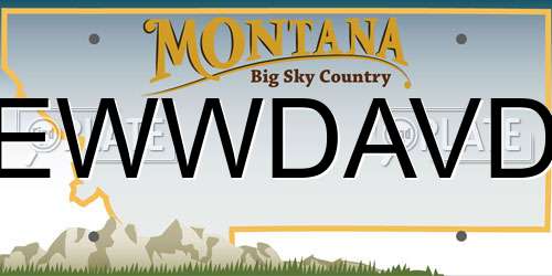 EWWDAVD Montana License Plate