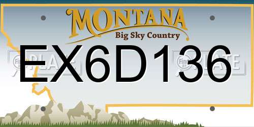 EX6D136 Montana License Plate