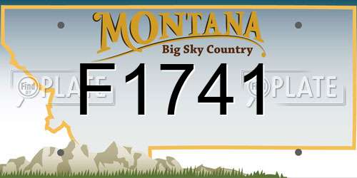 F1741 Montana License Plate