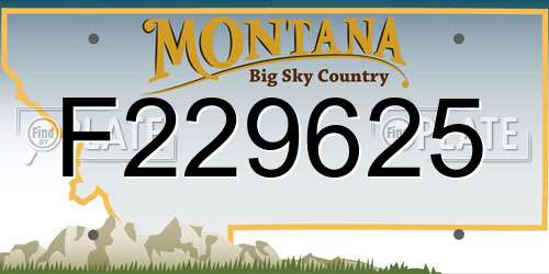 F229625 Montana License Plate