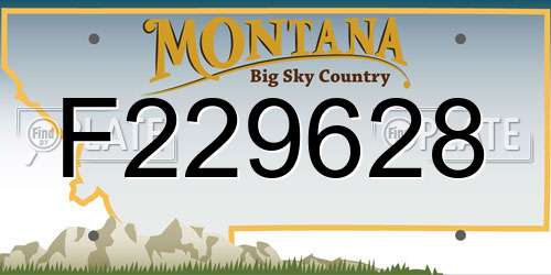 F229628 Montana License Plate