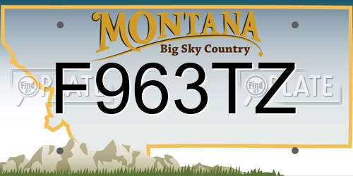 F963TZ Montana License Plate