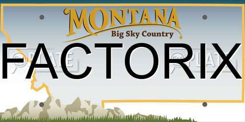 FACTORIX Montana License Plate