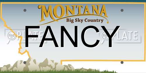 FANCY Montana License Plate