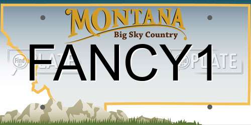 FANCY1 Montana License Plate