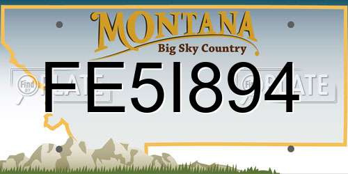 FE5I894 Montana License Plate