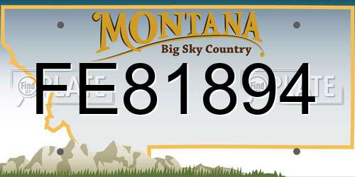 FE81894 Montana License Plate