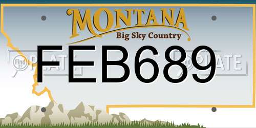 FEB689 Montana License Plate