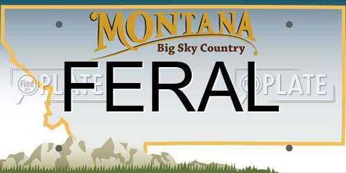 FERAL Montana License Plate