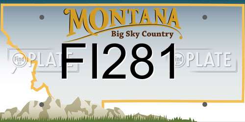 FI281 Montana License Plate