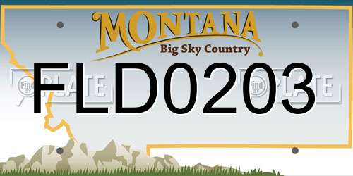 FLD0203 Montana License Plate