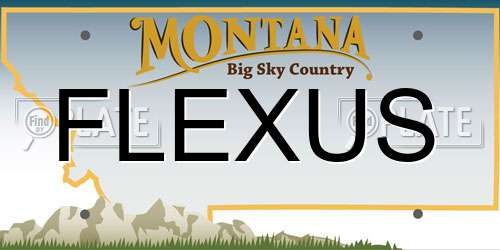 FLEXUS Montana License Plate