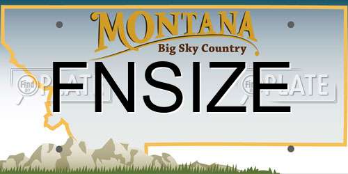 FNSIZE Montana License Plate