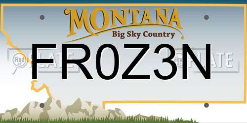 FR0Z3N Montana License Plate