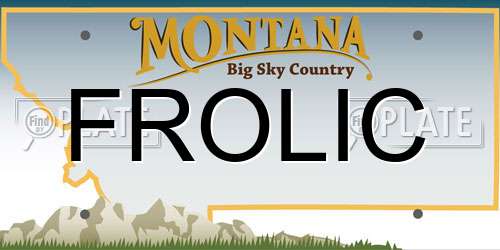 FROLIC Montana License Plate