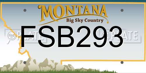 FSB293 Montana License Plate