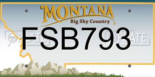FSB793 Montana License Plate