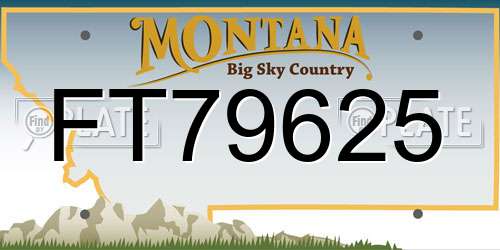 FT79625 Montana License Plate